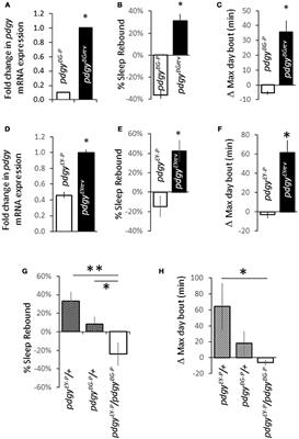 The acyl-CoA Synthetase, pudgy, Promotes Sleep and Is Required for the Homeostatic Response to Sleep Deprivation